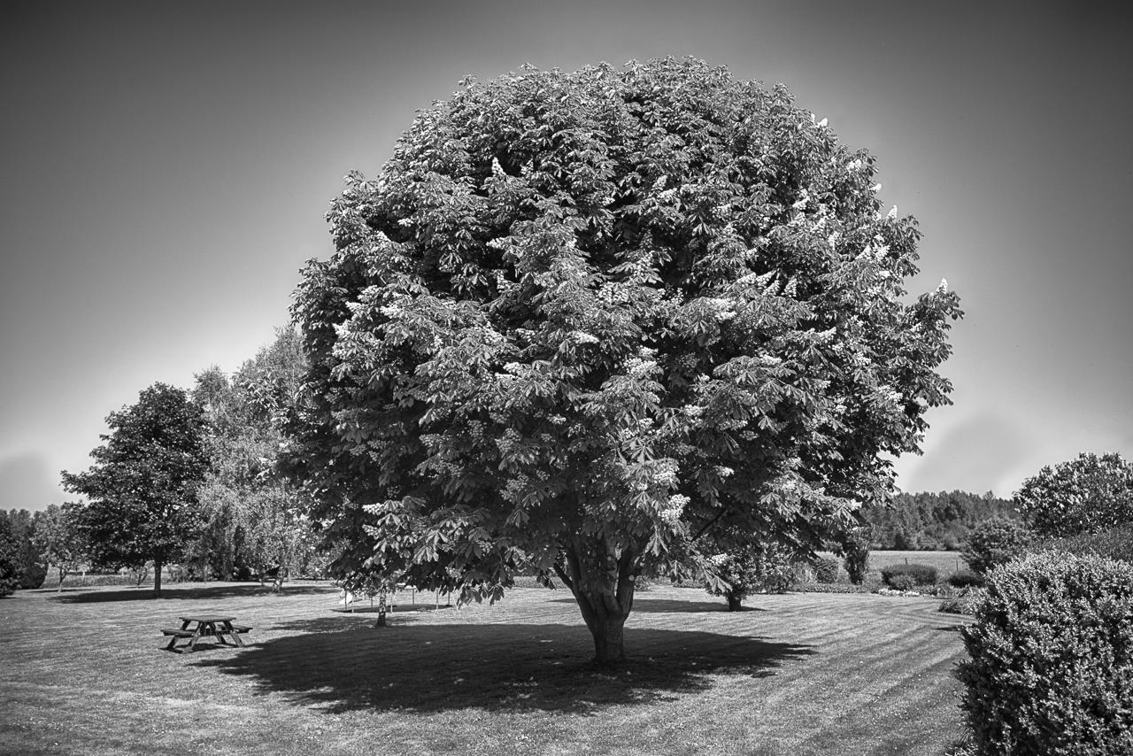 Au Jardin Fleuri Séjour à la ferme Vauxaillon