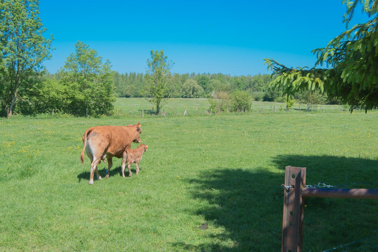 Au Jardin Fleuri Vauxaillon